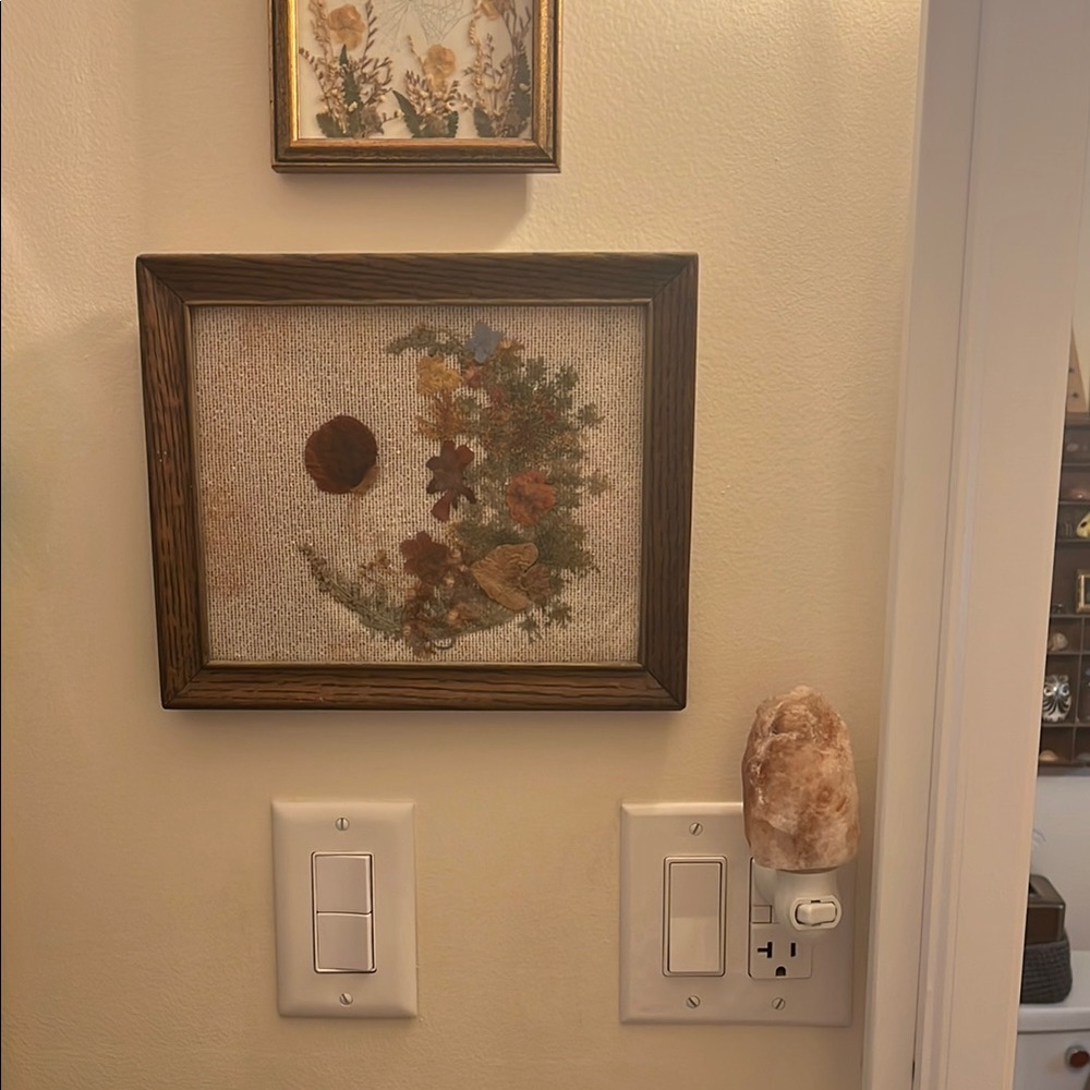 ▫️Rustic Pressed Flower & Leaf Moon Art Piece with Wooden Frame